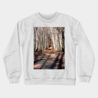 ACLT Trail Crewneck Sweatshirt